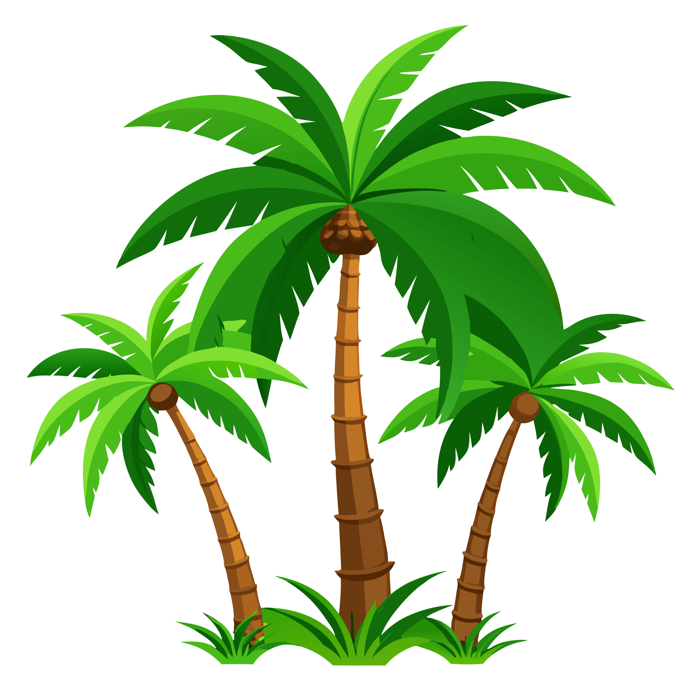 palm-tree